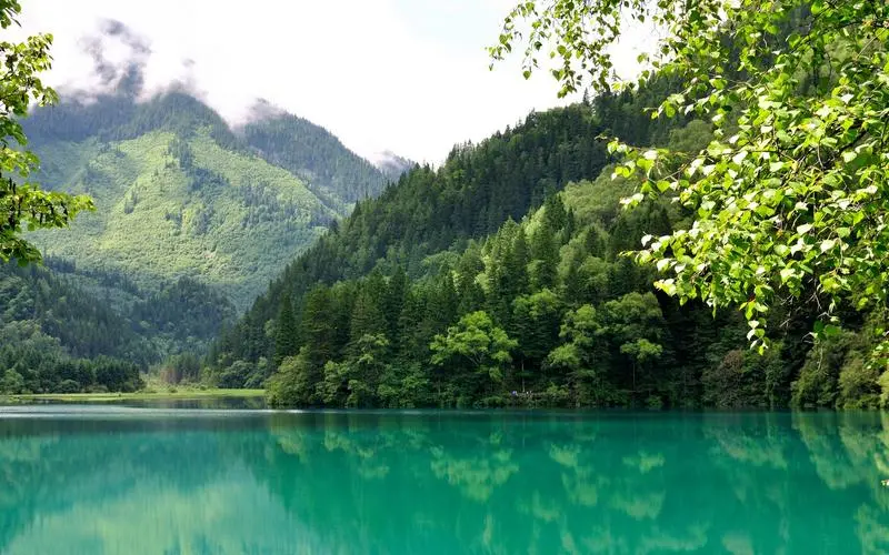 创意智能高性能